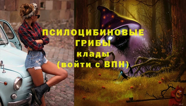 гидропоника Магас