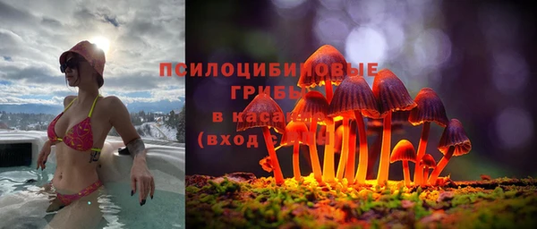 мяу мяу мука Медвежьегорск